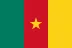 Cameroon flag