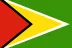 Guyana flag