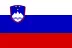 Slovenia flag