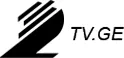 2 TV logo