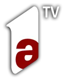 A1 TV logo