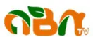 ABN TV logo